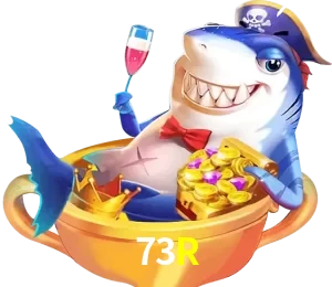 73R